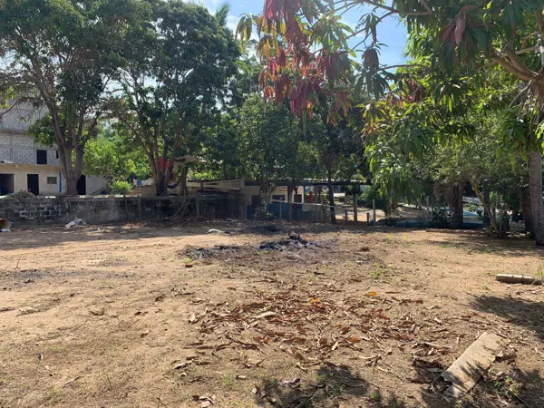 Terreno en venta en San Martín, San Pedro Pochutla — foto 3 de 8
