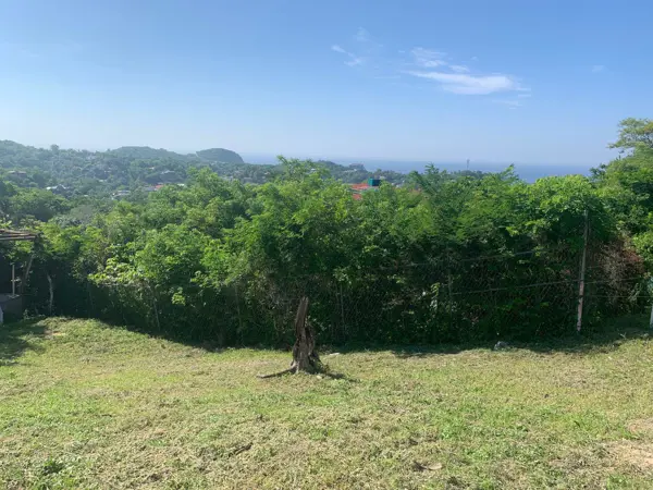 Terreno en venta en Puerto Ángel Centro, San Pedro Pochutla — foto 3 de 8