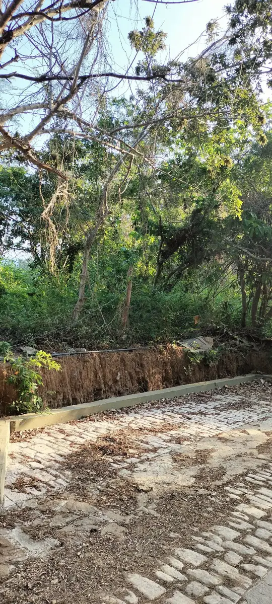 Terreno en venta en Mazunte, Santa María Tonameca — foto 1 de 6