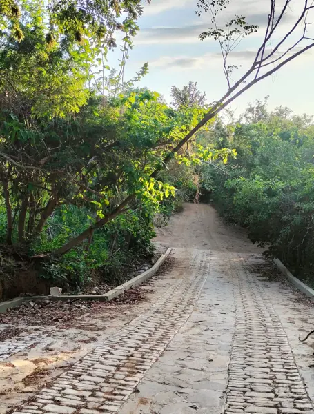 Terreno en venta en Mazunte, Santa María Tonameca — foto 2 de 6