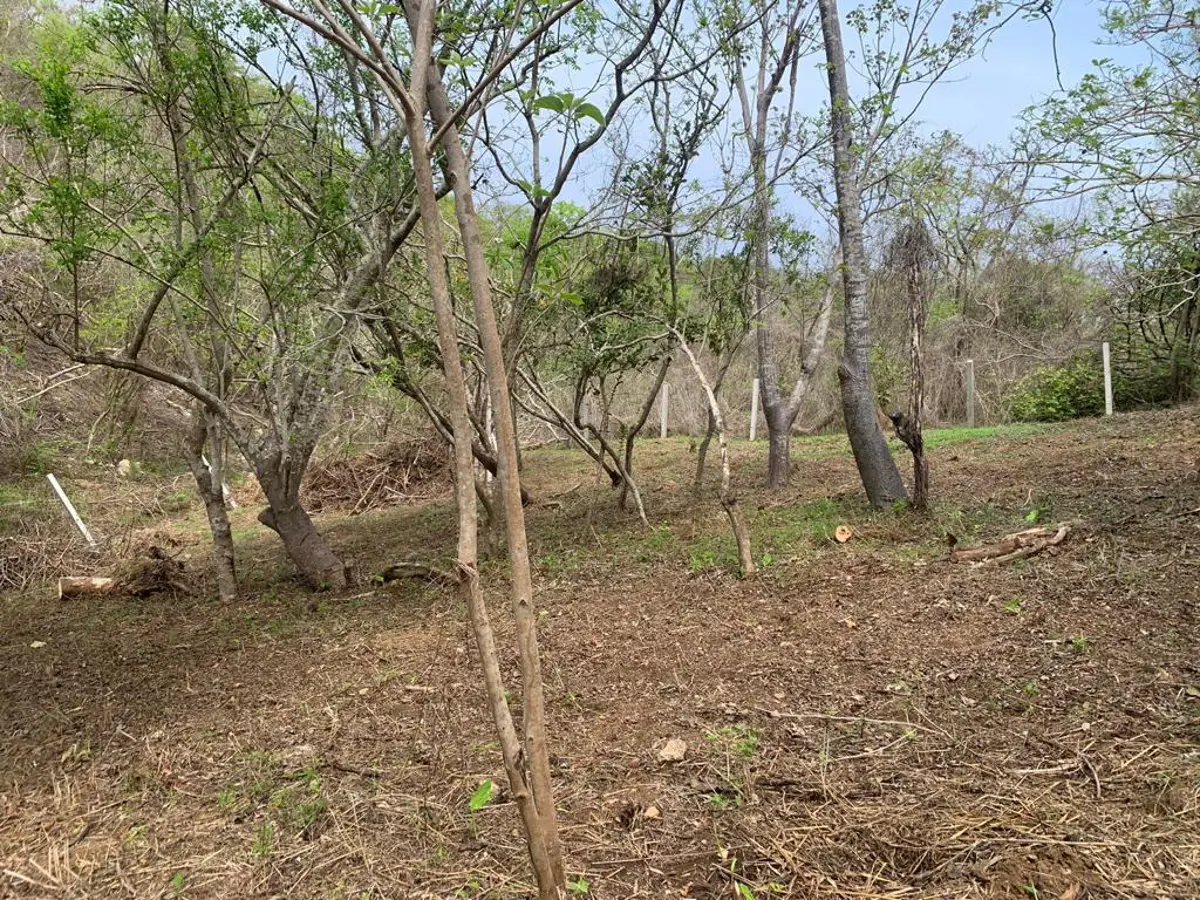 Terreno en venta en Mazunte, Santa María Tonameca — foto 1 de 5
