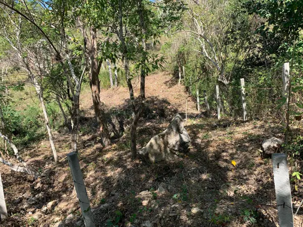 Terreno en venta en Mazunte, Santa María Tonameca — foto 2 de 5