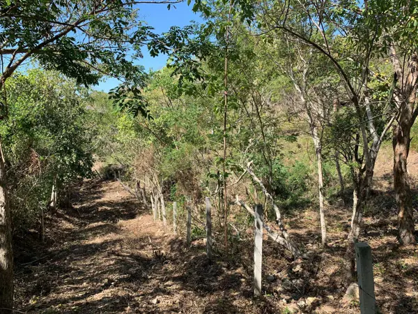 Terreno en venta en Mazunte, Santa María Tonameca — foto 3 de 5