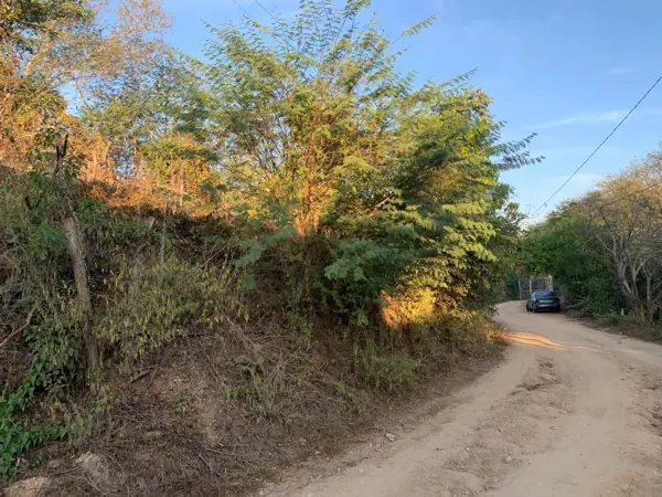 Terreno en venta en Puerto Ángel Centro, San Pedro Pochutla — foto 3 de 7