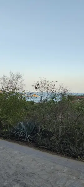 Terreno en venta en Mazunte, Santa María Tonameca — foto 2 de 12