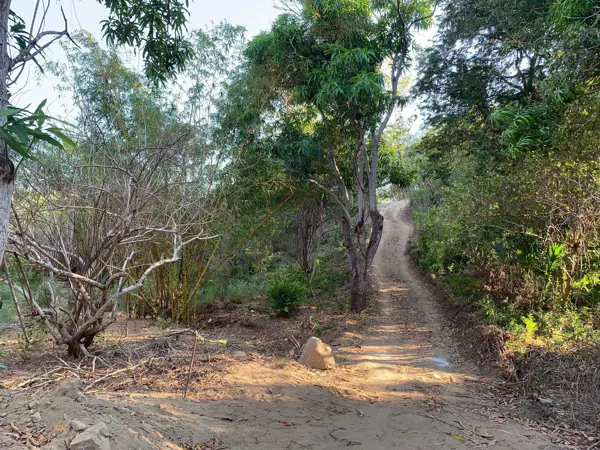 Terreno en venta en Agete, San Pedro Pochutla — foto 2 de 8