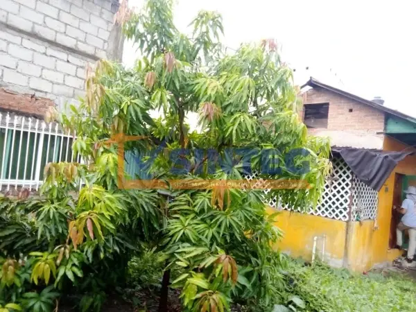 Terreno en venta en Aviación Vieja, Poza Rica de Hidalgo — foto 2 de 11