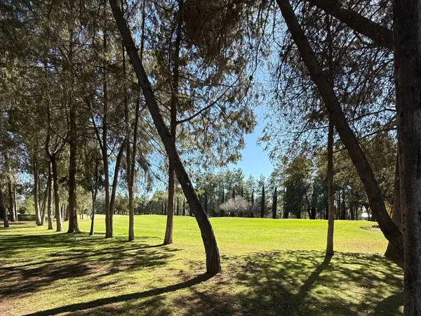 Casa en renta en Club de Golf, Pachuca de Soto — foto 2 de 17