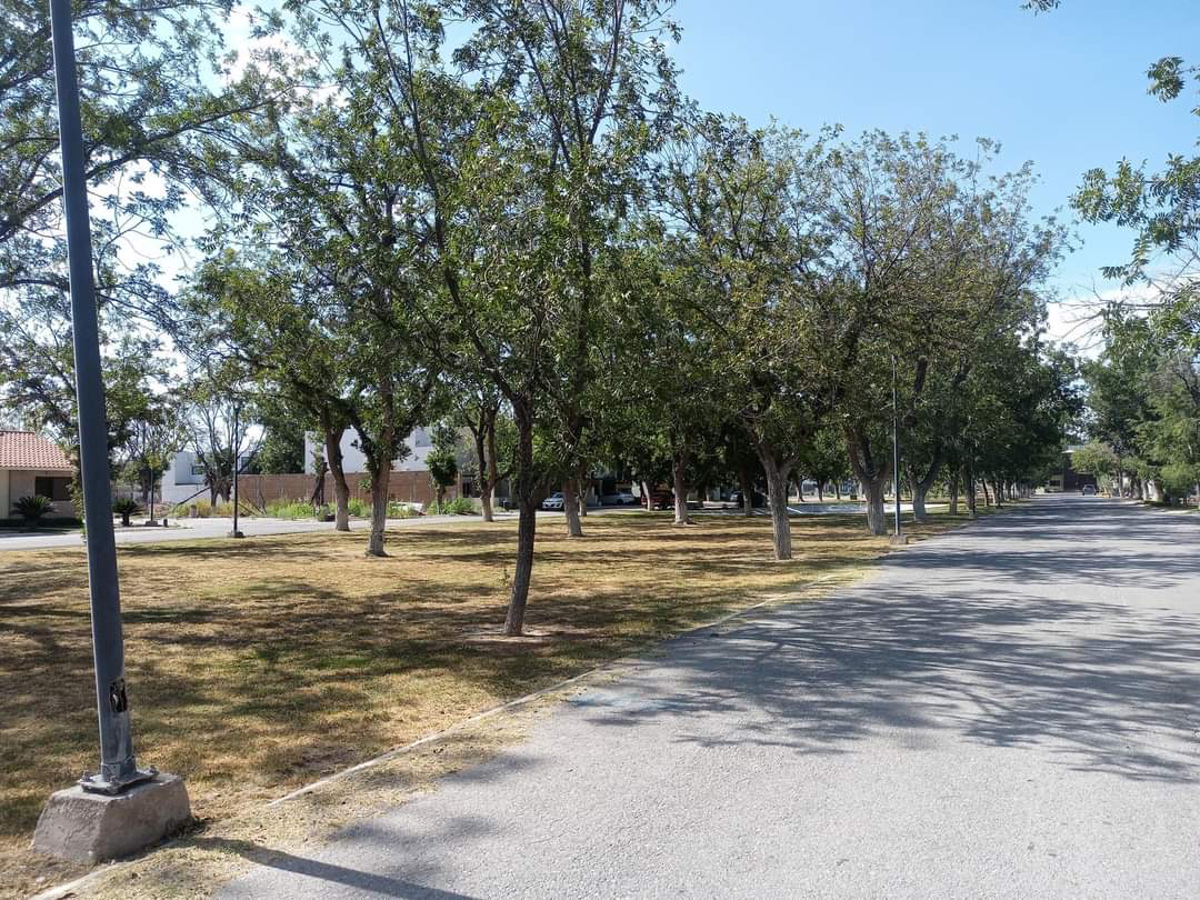 Terreno en Venta en Las Trojes, Torreón, Coahuila de Zaragoza