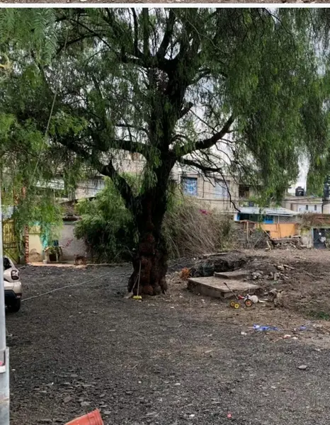 Terreno en renta en Huayamilpas, Coyoacán — foto 3 de 11