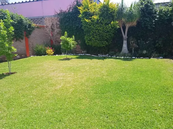 Oficina en venta en Estrella, Torreón, Coahuila de Zaragoza