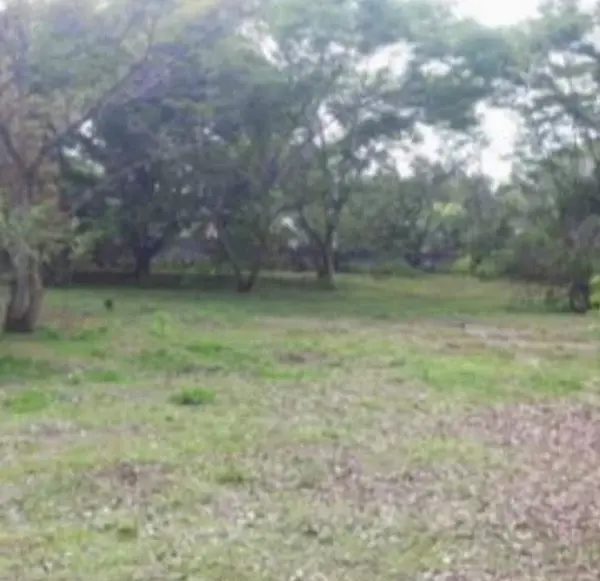 Casa en venta en Centro, Yautepec — foto 3 de 14