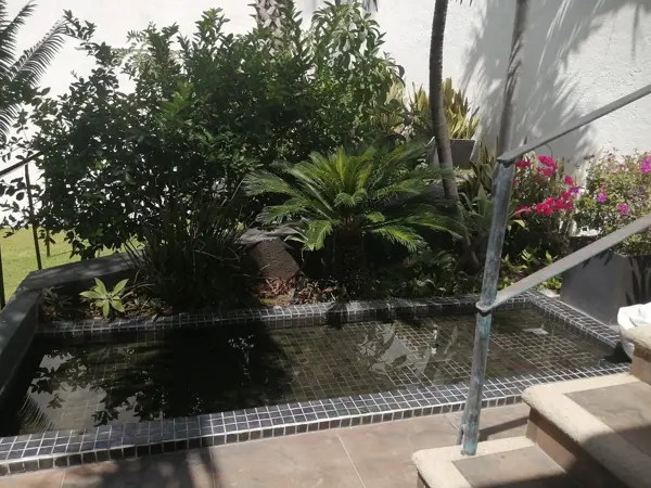 Terreno en venta en Burgos Bugambilias, Temixco — foto 3 de 7