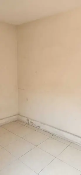 Casa en renta en Parque San Andres, Coyoacán — foto 3 de 33