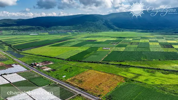 Terreno en venta en Jocotepec Centro, Jocotepec — foto 3 de 4