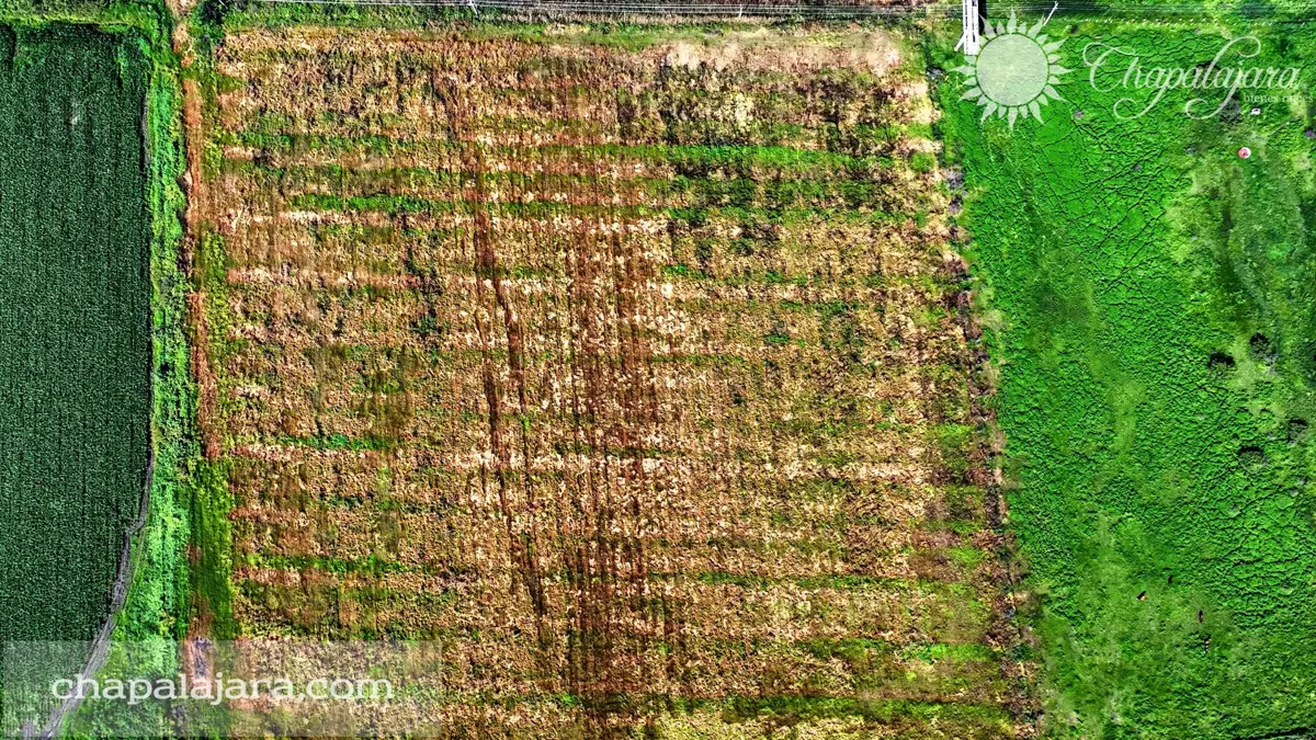 Terreno en venta en Jocotepec Centro, Jocotepec — foto 1 de 4