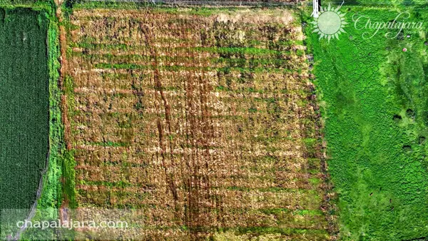 Terreno en venta en Jocotepec Centro, Jocotepec, Jalisco
