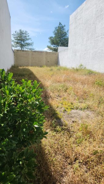 Terreno en venta en Valle Imperial, Zapopan — foto 2 de 10