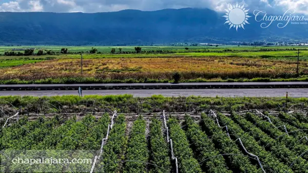 Terreno en venta en Jocotepec Centro, Jocotepec — foto 3 de 4