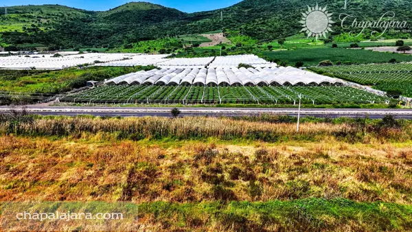 Terreno en venta en Jocotepec Centro, Jocotepec — foto 2 de 4