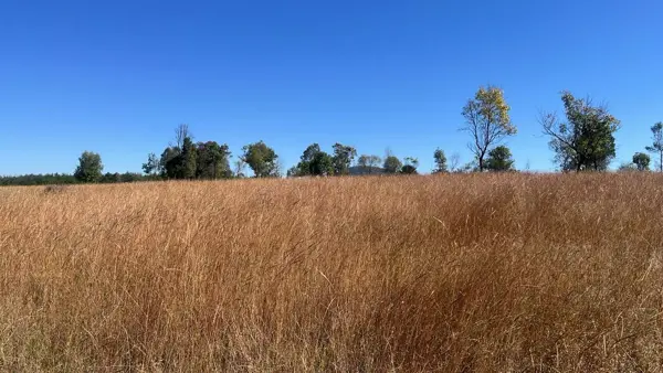 Terreno en venta en El Aguacate, Pátzcuaro — foto 3 de 3