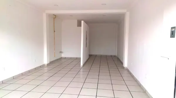 Local en renta en Los Dicios, San Martín Texmelucan — foto 2 de 6