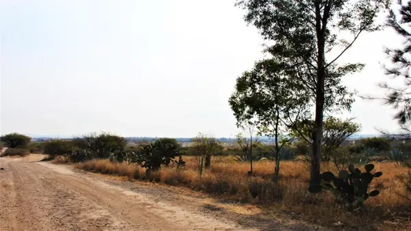 Terreno en venta en Ciudad Maderas, El Marqués — foto 2 de 24