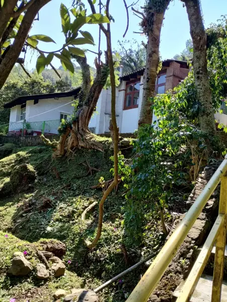 Terreno en venta en Real de Arriba, Temascaltepec — foto 3 de 18