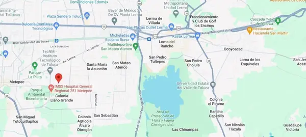 Casa en venta en Llano Grande (El Salitre), Metepec — foto 3 de 16