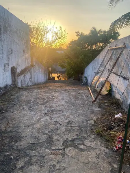Terreno en renta en El Conchal, Alvarado — foto 3 de 7