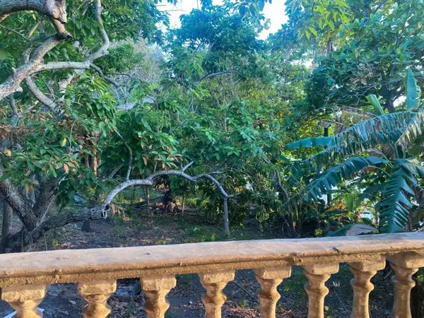 Terreno en renta en El Conchal, Alvarado — foto 2 de 7