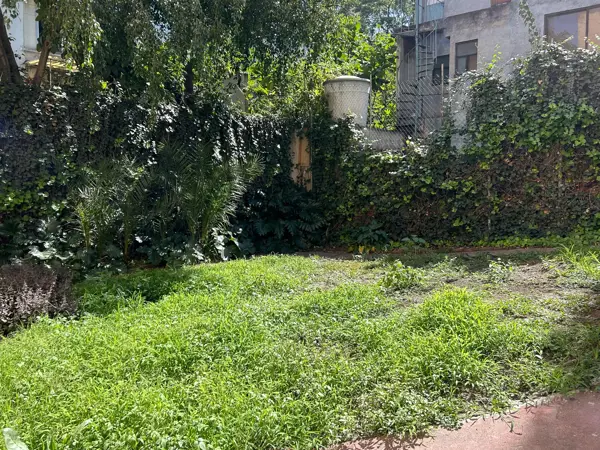 Casa en renta en Anzures, Miguel Hidalgo — foto 2 de 14