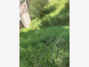Terreno en venta en San Bartolo Ameyalco, Álvaro Obregón — foto 2 de 6