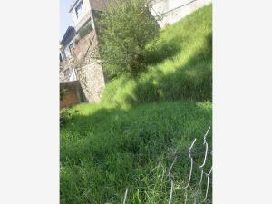 Terreno en venta en San Bartolo Ameyalco, Álvaro Obregón — foto 3 de 6