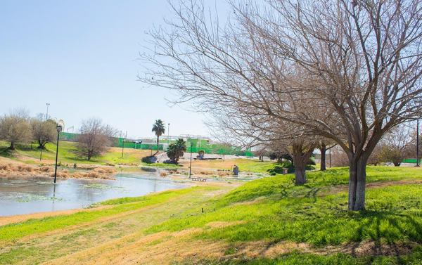 Terreno en venta en Villas del Renacimiento, Torreón — foto 3 de 5