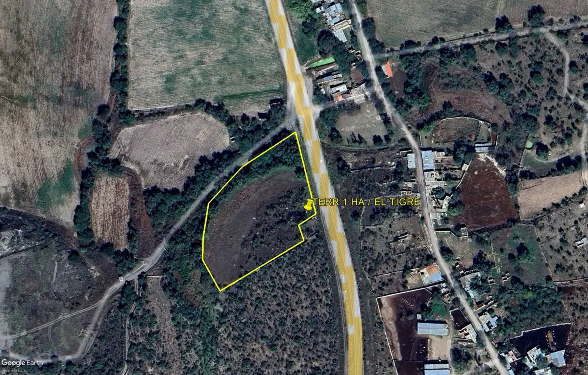 Terreno en venta en El Tigre, Encarnación de Díaz — foto 1 de 9