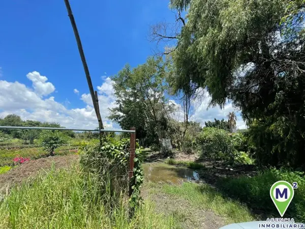 Terreno en venta en Centro Jiutepec, Jiutepec — foto 3 de 9