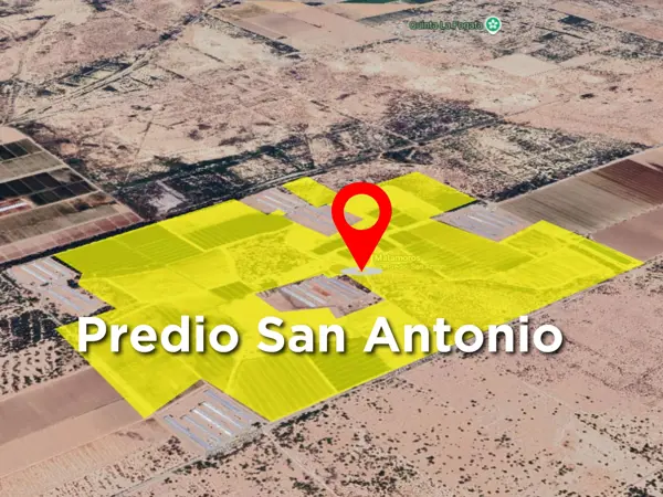 Terreno en venta en El Olivo, Matamoros, Coahuila de Zaragoza Terreno en venta en El Olivo, Matamoros, Coahuila de Zaragoza