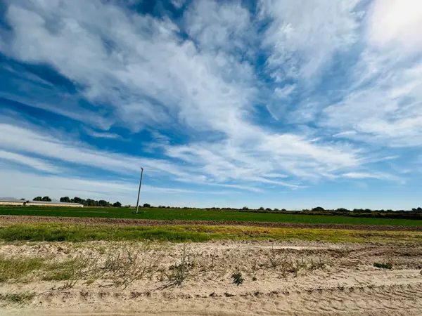 Terreno en venta en El Olivo, Matamoros — foto 2 de 8