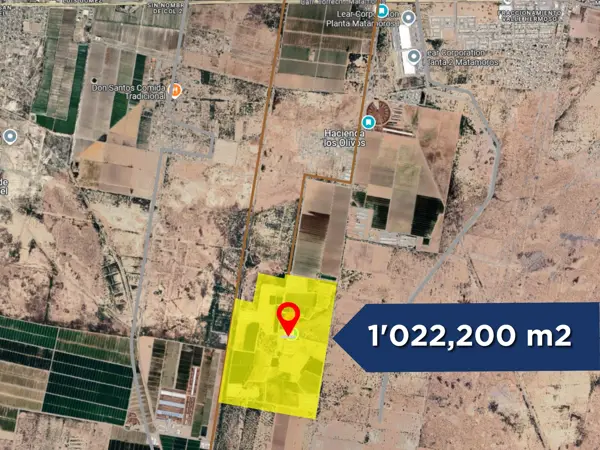 Terreno en venta en El Olivo, Matamoros — foto 3 de 8