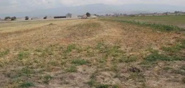 Terreno en venta en San Joaquin Coapango, Texcoco — foto 2 de 4