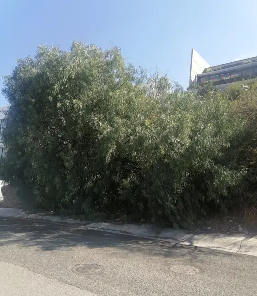 Terreno en venta en Zibatá, El Marqués — foto 2 de 2