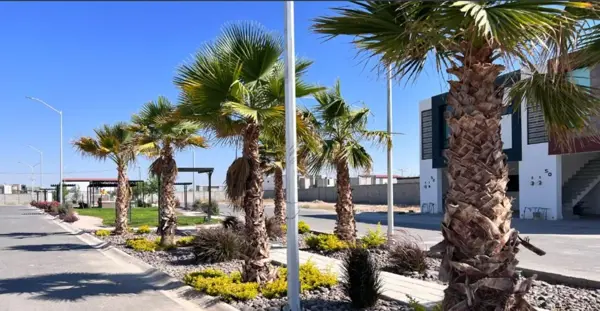 Terreno en venta en Quintas del Palmar, Torreón — foto 3 de 6