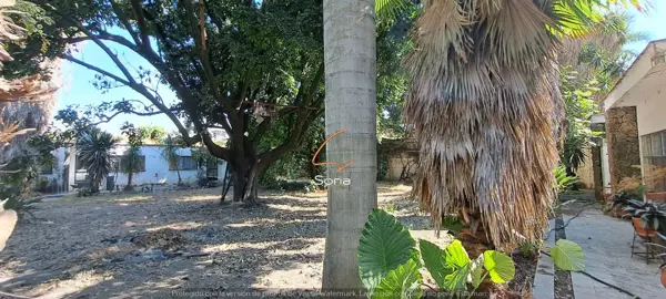 Terreno en venta en Manantiales, Cuautla — foto 3 de 14