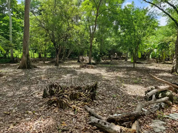 Terreno en venta en Buena Vista 3ra. Sección (Boca de Escoba), Centro — foto 3 de 19