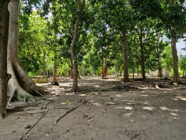 Terreno en venta en Buena Vista 3ra. Sección (Boca de Escoba), Centro — foto 2 de 19