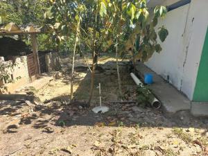 Casa en venta en La Cruz del Bajío, Centro — foto 2 de 29