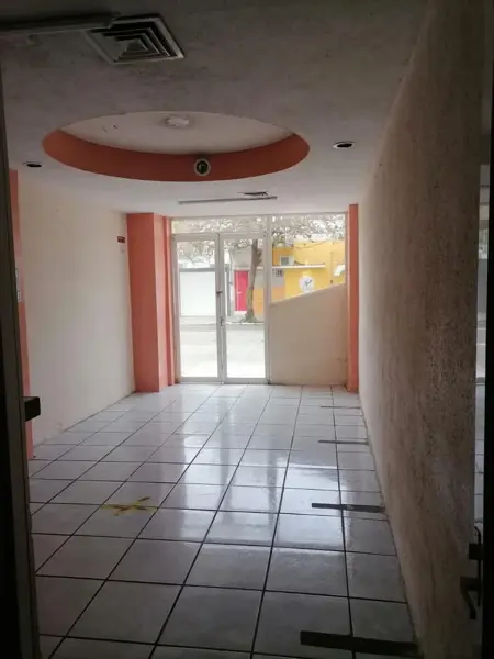 Local en renta en Ricardo Flores Magón, Veracruz — foto 2 de 10