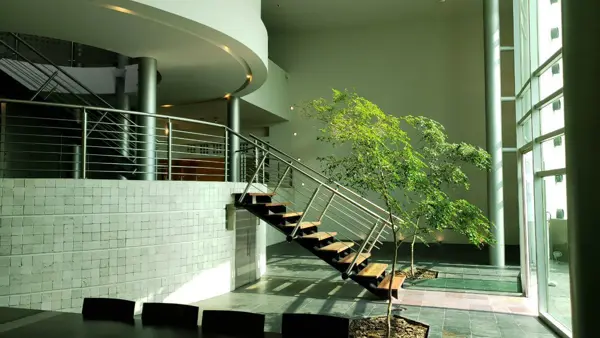 Casa en venta en Jardines del Pedregal, Álvaro Obregón — foto 2 de 25