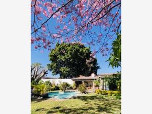 Casa en venta en San Jerónimo, Cuernavaca — foto 3 de 50